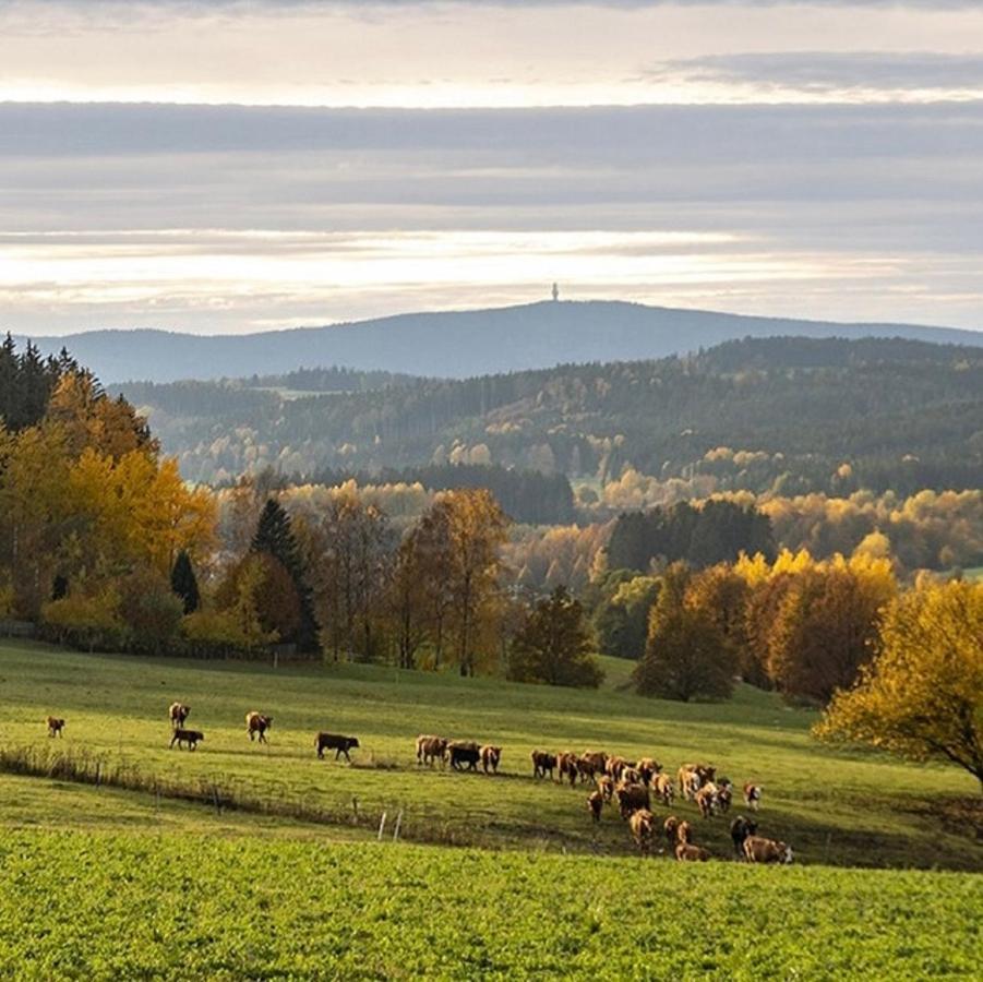 Ferienwohnungen Fichtelgruen Wunsiedel Exteriör bild