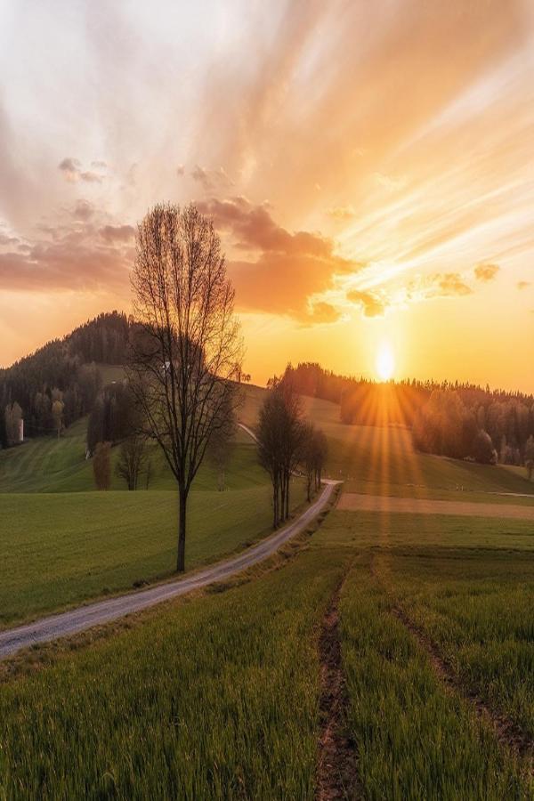 Ferienwohnungen Fichtelgruen Wunsiedel Exteriör bild